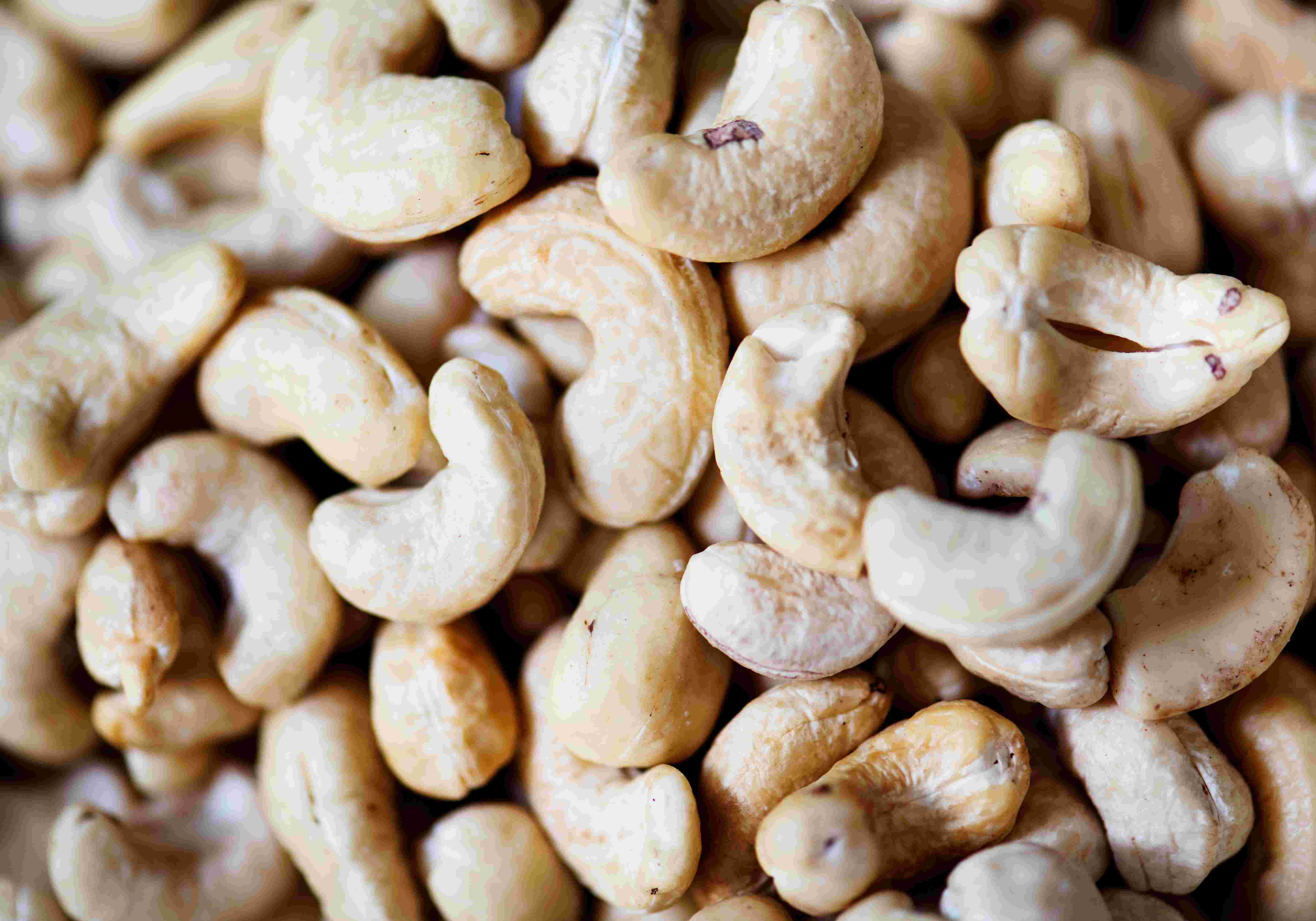 Nuvetra Global Cashew Nuts